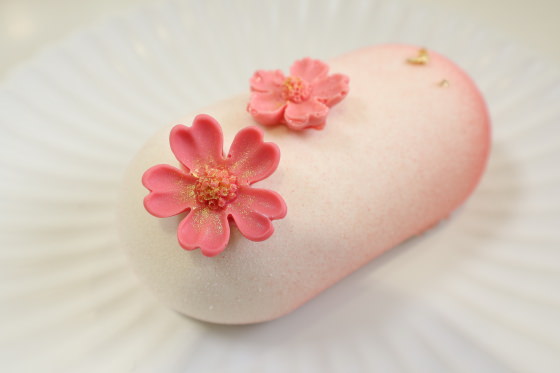 静物2