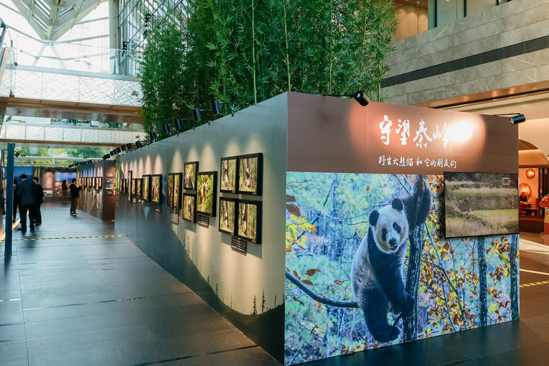 “守望秦岭——野生大熊猫和它的朋友们”大型公益摄影展
